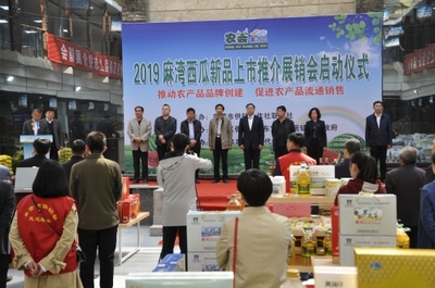 東營市供銷合作社聯(lián)合社 工作動態(tài) 市供銷社舉辦2019黃河口農產品品牌創(chuàng)建麻灣西瓜新品上市推介周活動啟動儀式