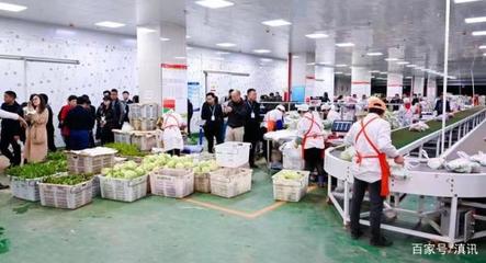 “云菜集采聯(lián)盟”啟動 300余家生鮮配送公司助力云菜出滇