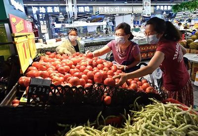 北京 | 有鏈可查,追溯無憂!新發(fā)地農產品批發(fā)市場啟動“新發(fā)云”