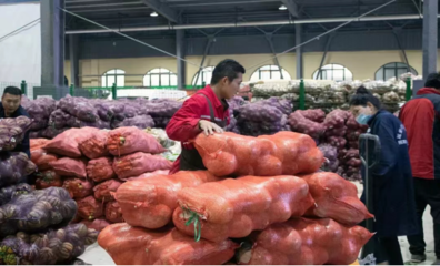 “全業(yè)態(tài)運營、一站式采購” 延安供銷農產品物流園蔬菜專業(yè)市場隆重開業(yè)