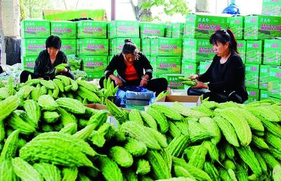 2020年黃河金三角(曲沃)國際果蔬博覽會新聞發(fā)布會成功舉辦