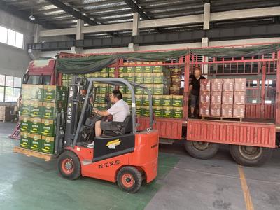 南京潤(rùn)立農(nóng)產(chǎn)品公司:全力保障農(nóng)產(chǎn)品流通銷(xiāo)售