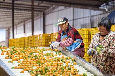 未來生活是什么模樣?一起來看看