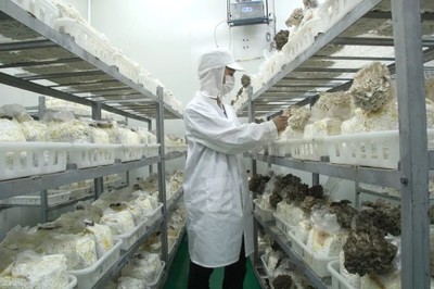 推薦一只超低估值的“消費股”