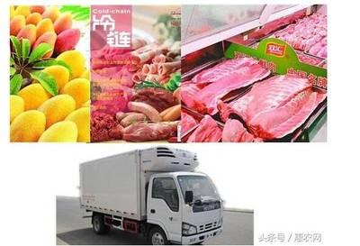 掘金|現在做農業,這6大機會你必須要知道