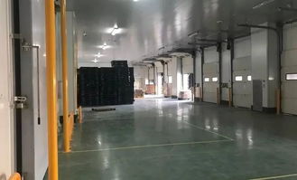 中冷物流丨順勢而為 不斷創新,豎立產品服務標準化新標桿