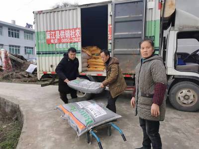 麻江縣供銷(xiāo)社“五措施”全力以赴保春耕