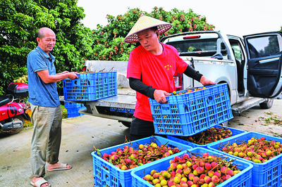 搶占“鮮”機——農產品流通跑出加速度