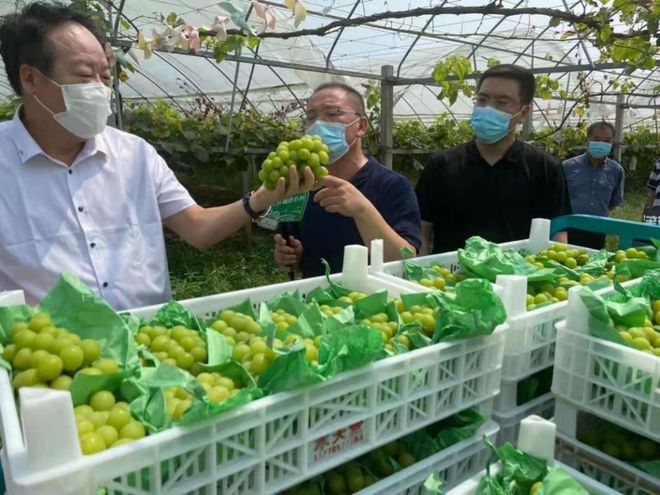 把傳統業務打造成獨特優勢——農產品流通看江蘇供銷模式